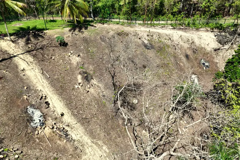 Antes: terreno preparado para la siembra